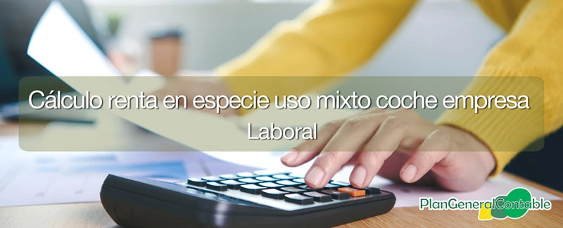 Valoraci�n importe renta en especie uso mixto veh�culo de empresa